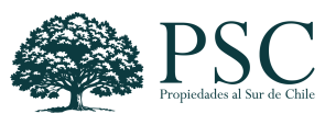 Propiedades Sur de Chile